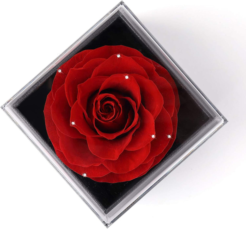 Mothers Day Flower Gifts for Her, Preserved Real Flower Rose with Silver-Tone Heart Necklace I Love You in 100 Languages Gift Set, Enchanted Flower Rose Gifts, Red Crystal